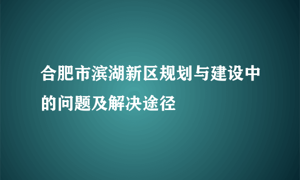 合肥市滨湖新区规划与建设中的问题及解决途径