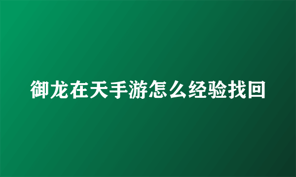 御龙在天手游怎么经验找回