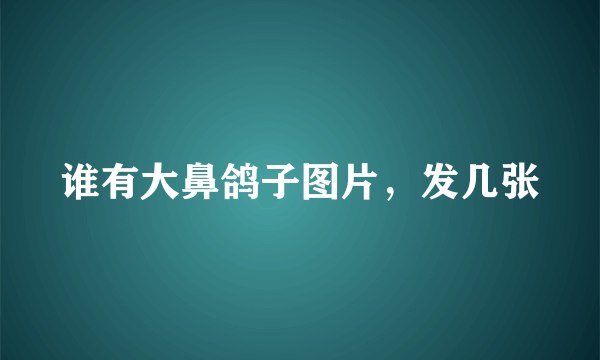 谁有大鼻鸽子图片，发几张