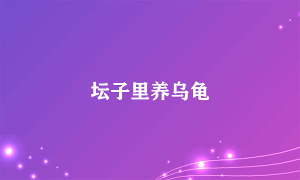 坛子里养乌龟