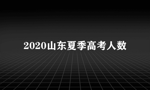 2020山东夏季高考人数