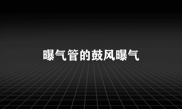 曝气管的鼓风曝气