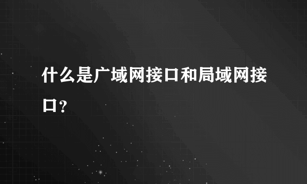 什么是广域网接口和局域网接口？