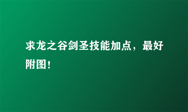 求龙之谷剑圣技能加点，最好附图！