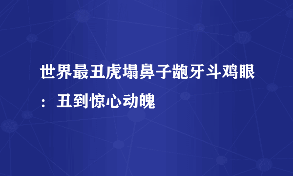 世界最丑虎塌鼻子龅牙斗鸡眼：丑到惊心动魄