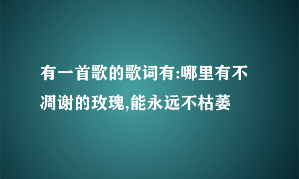 有一首歌的歌词有:哪里有不凋谢的玫瑰,能永远不枯萎