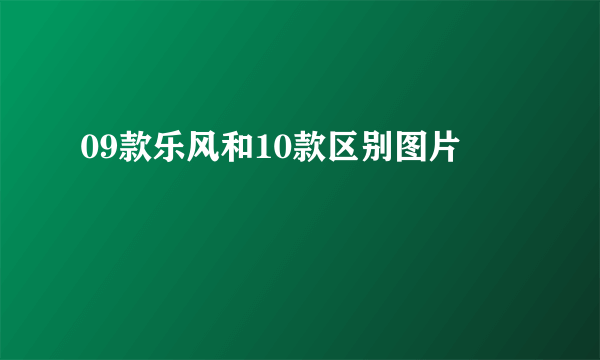 09款乐风和10款区别图片