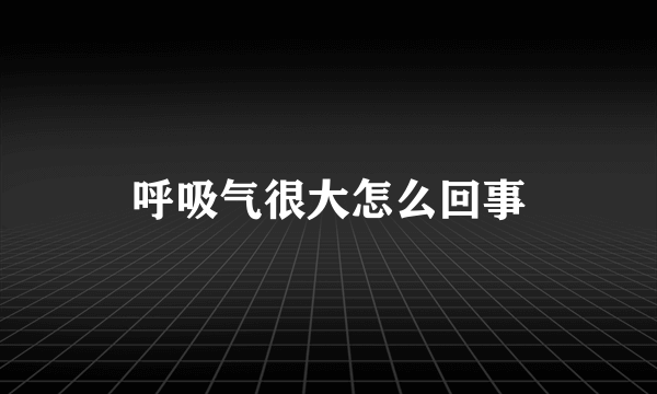 呼吸气很大怎么回事