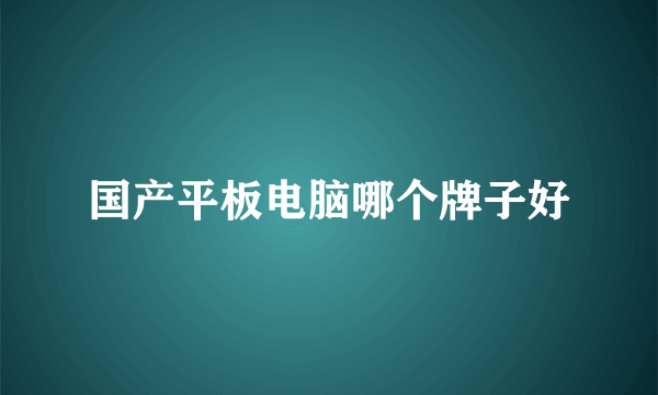 国产平板电脑哪个牌子好