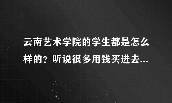 云南艺术学院的学生都是怎么样的？听说很多用钱买进去的,风气也不好……，希望得到详细真实客观的解答。