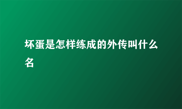 坏蛋是怎样练成的外传叫什么名