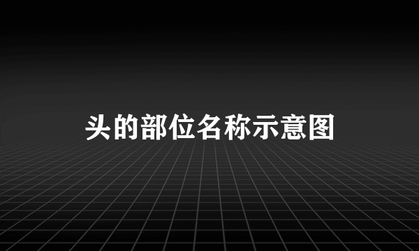 头的部位名称示意图