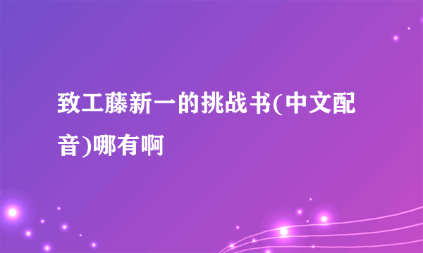 致工藤新一的挑战书(中文配音)哪有啊