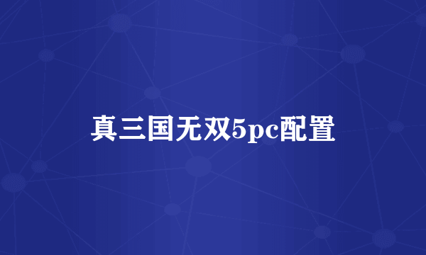 真三国无双5pc配置