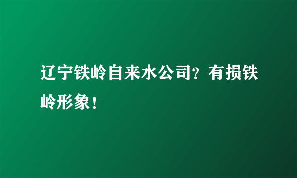 辽宁铁岭自来水公司？有损铁岭形象！