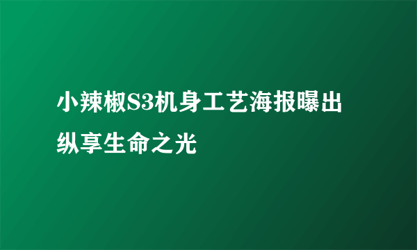 小辣椒S3机身工艺海报曝出  纵享生命之光