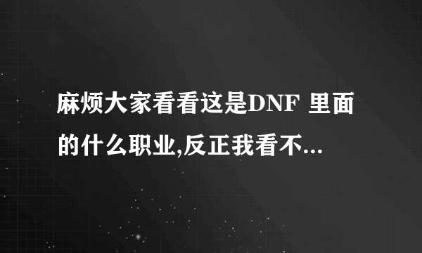 麻烦大家看看这是DNF 里面的什么职业,反正我看不出什么技能