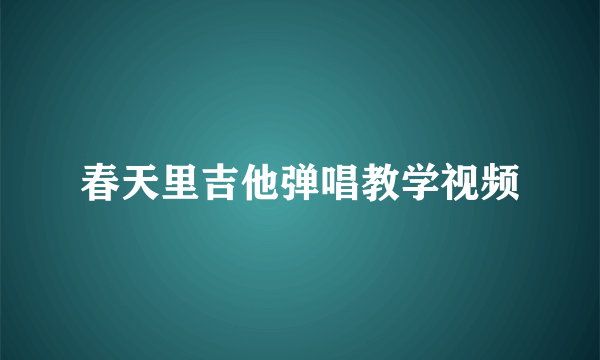 春天里吉他弹唱教学视频