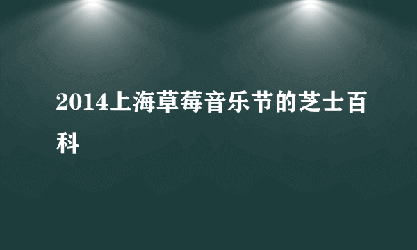 2014上海草莓音乐节的芝士百科