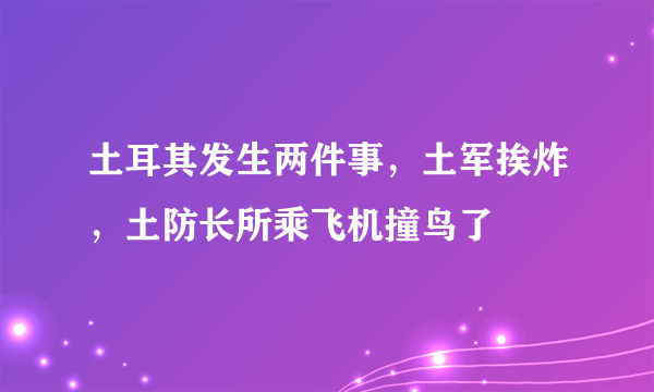 土耳其发生两件事，土军挨炸，土防长所乘飞机撞鸟了