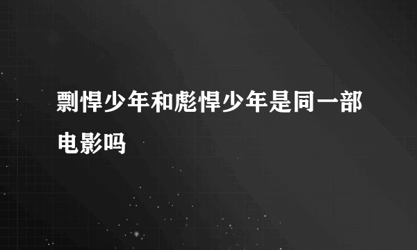剽悍少年和彪悍少年是同一部电影吗