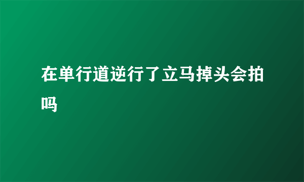 在单行道逆行了立马掉头会拍吗