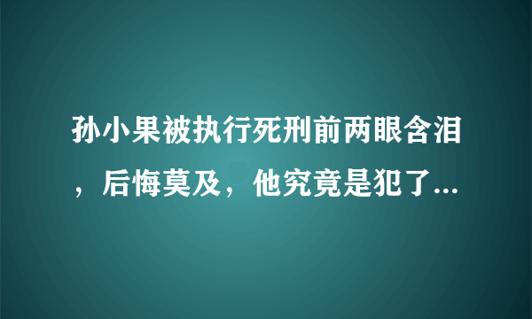 孙小果被执行死刑前两眼含泪，后悔莫及，他究竟是犯了什么事？