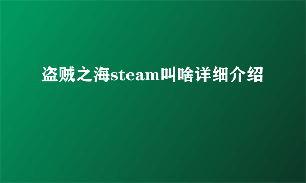 盗贼之海steam叫啥详细介绍
