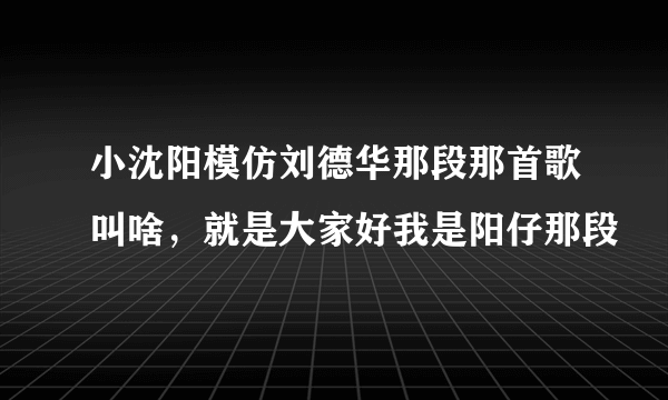 小沈阳模仿刘德华那段那首歌叫啥，就是大家好我是阳仔那段