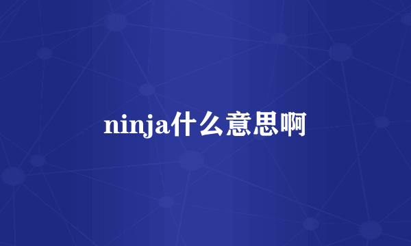 ninja什么意思啊