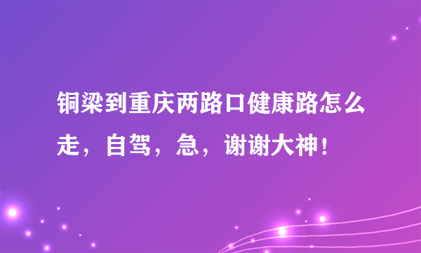 铜梁到重庆两路口健康路怎么走，自驾，急，谢谢大神！
