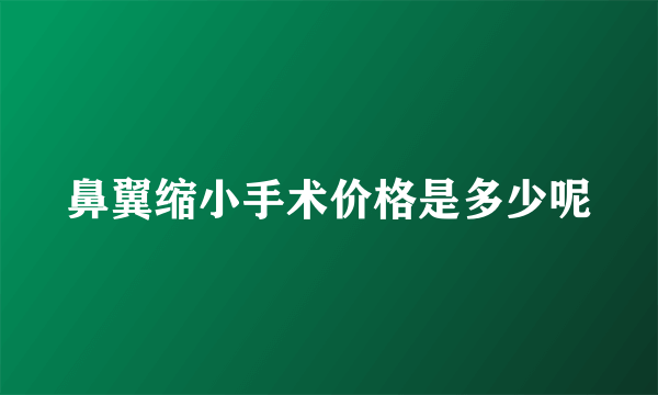 鼻翼缩小手术价格是多少呢