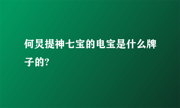 何炅提神七宝的电宝是什么牌子的?