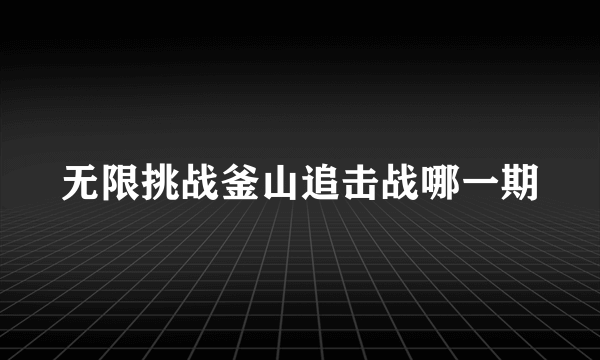 无限挑战釜山追击战哪一期