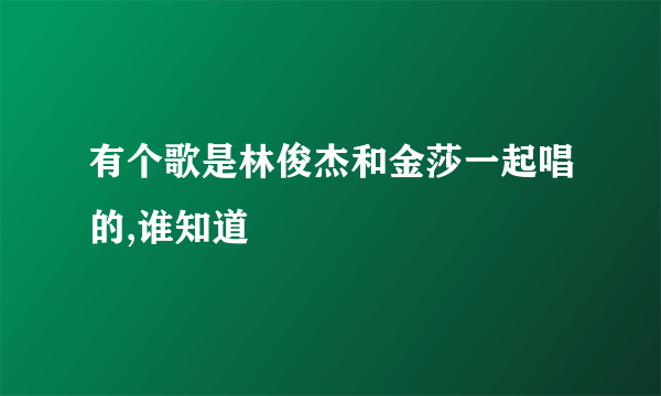 有个歌是林俊杰和金莎一起唱的,谁知道