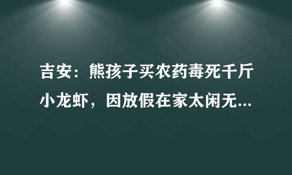 吉安：熊孩子买农药毒死千斤小龙虾，因放假在家太闲无事可做, 你怎么看？