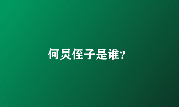 何炅侄子是谁？