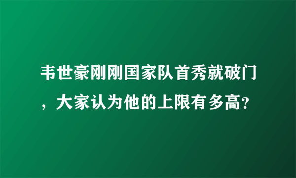 韦世豪刚刚国家队首秀就破门，大家认为他的上限有多高？