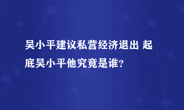 吴小平建议私营经济退出 起底吴小平他究竟是谁？