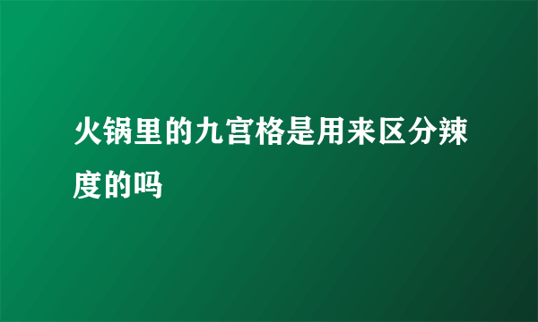 火锅里的九宫格是用来区分辣度的吗
