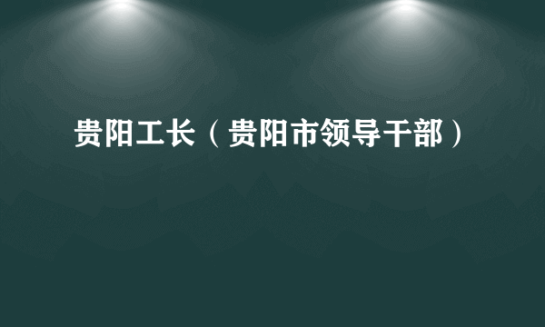 贵阳工长（贵阳市领导干部）