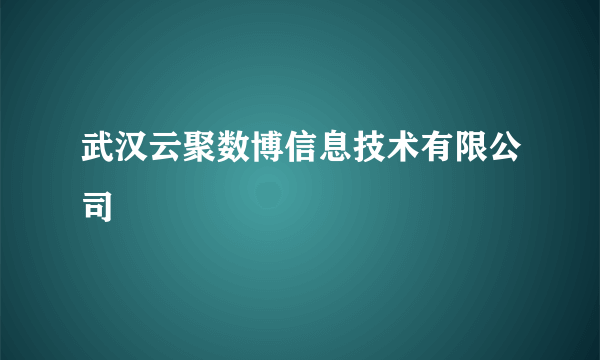 武汉云聚数博信息技术有限公司