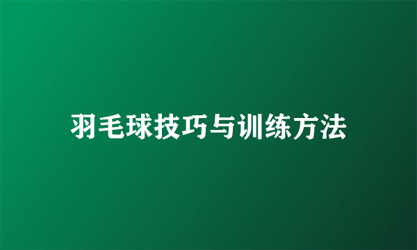 羽毛球技巧与训练方法