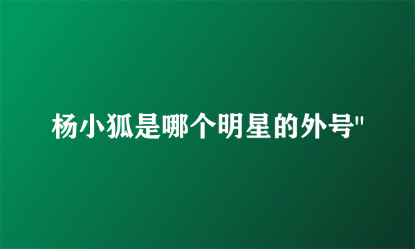 杨小狐是哪个明星的外号