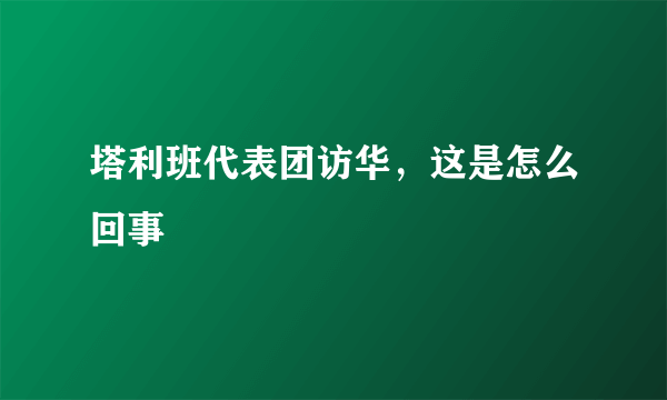 塔利班代表团访华，这是怎么回事