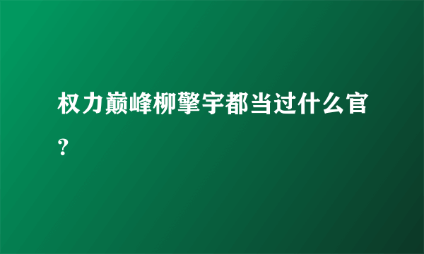 权力巅峰柳擎宇都当过什么官？