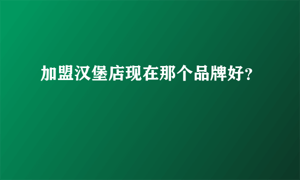 加盟汉堡店现在那个品牌好？