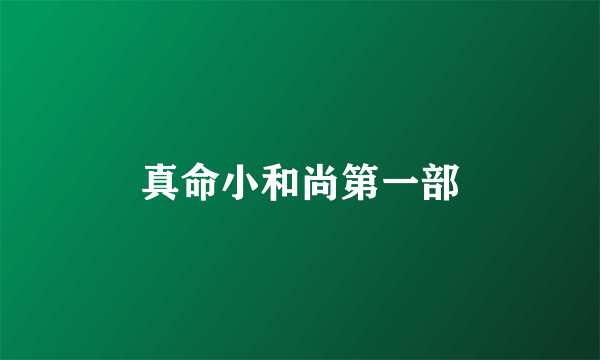 真命小和尚第一部