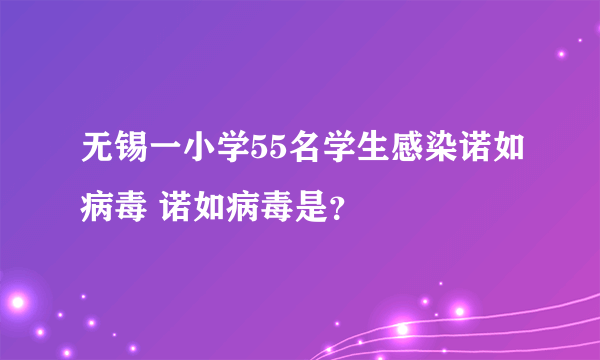 无锡一小学55名学生感染诺如病毒 诺如病毒是？