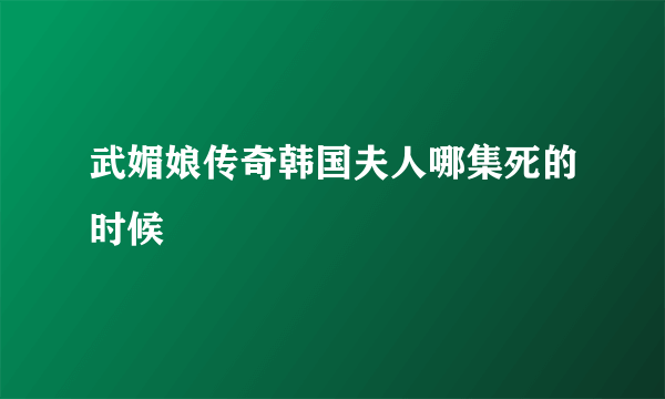 武媚娘传奇韩国夫人哪集死的时候
